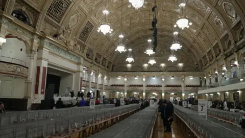 Louise Sayers/BBC Rows of cages are lined up on tables in Blackpool's Winter Gardens, each containing a pigeon as fanciers wander up and down the aisles looking at them.