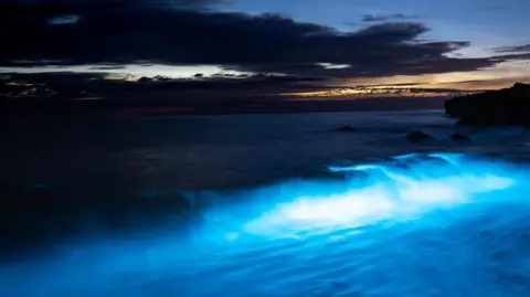 Charlotte Kite Bioluminescent plankton at Penmon Point. A bright blue glow can be seen in the crashing waves reaching the shore. There are dark clouds and stars in the sky. A light house can be seen in the far right of the image.