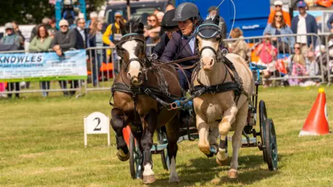 A two people racing on a horse and cart in front of an audience on a sunny day