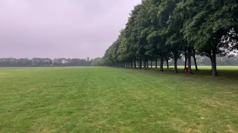 Large field of grass with line of trees on the right