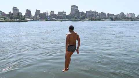 Mohamed Hossam/EPA A boy jumps into the Nile River on 8 June.