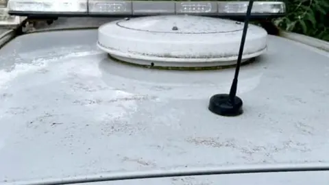 Devon and Cornwall Police Paw prints