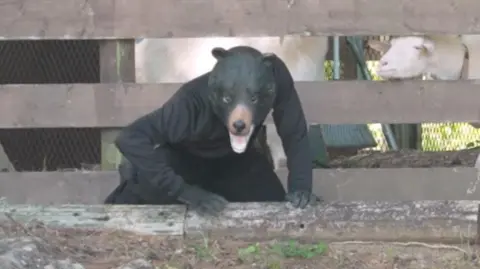 Man dressed as a bear