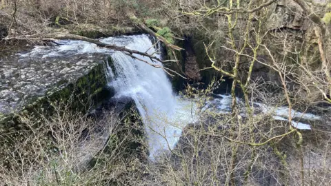 A large waterfall flows over the edge of a ledge into a river below.  There are trees in the foreground.