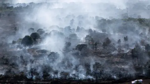 An aerial view of a heathland and woodland which is on fire. It has left the ground and trees charred and smoke is filling the air. In the background there are several trees not affected by the blaze.