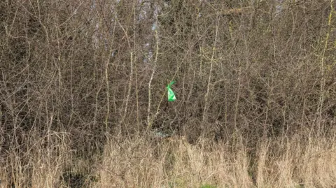 RSPCA A woodland with tall, dry grass and tangled, leafless bushes. In the background, there are trees with bare branches against a clear sky. A green plastic bag is stuck in the branches. 