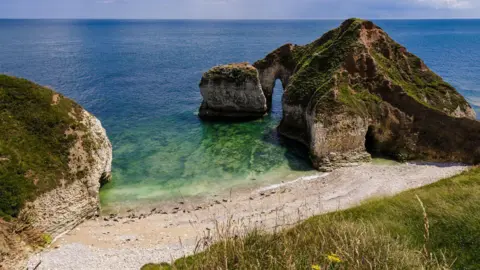 The Drinking Dinosaur, a chalk-cliff formation at Flamborough Head in East Yorkshire.