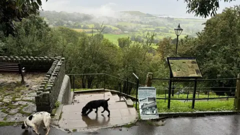 Tigger Two dogs sniff the ground in the foreground in front of metal railings that overlook rolling green hills in Shaftesbury. 