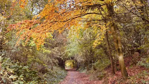 BBC Weather Watchers/Wander Vision A path set within a wooded area leads towards a stone tunnel. The trees surrounding it are covered in orange leaves, with some green ones also surrounding the tunnel. The path is covered in red fallen leaves.