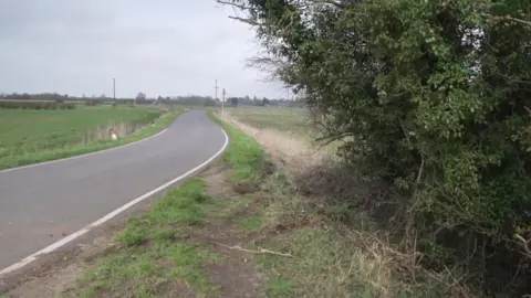 A slight bend on a country road, blanked by fields on one side and a tree on the other. Tyre marks can be seen on the crash verge leading to the tree.
