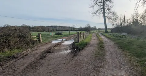Peter Davison Two muddy tracks at Whyr Farm with a closed gate on the left. There is a large tree on the route bending round to the right.