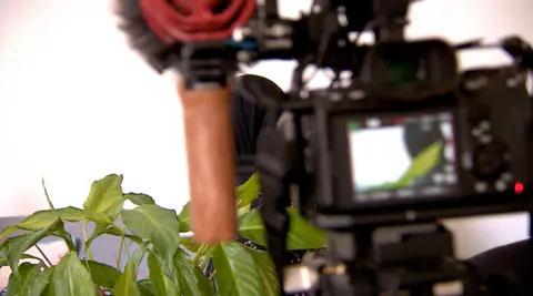 A woman wearing a black hijab is seen through a camera screen. Her head is turned away, so you can only see a blurred part of her face. The camera has lots of filming equipment attached to it and there is a green potted plant in the foreground. 