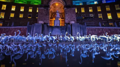 Andre Pattenden Hundreds of model flamingos are seen in the water in front of City Hall on College Green in Bristol. The picture is taken at night and the building behind the flamingos is lit up with purple, blue and green lights