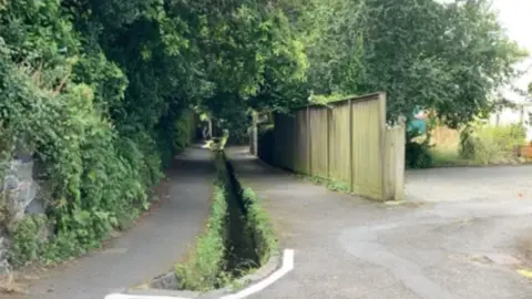 A path with a stream down the middle and a fence on the right.