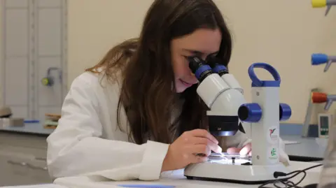 The National Botanical Garden of Wales A person wearing a white lab coat sits at a workstation and leans over a microscope, examining seeds or plant material under bright laboratory lighting.