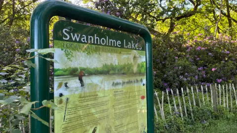 Jake Zuckerman/BBC A green sign, covered in algae, giving information about Swanholme Lakes, a nature reserve in Lincoln. Behind it is various foliage, including bushes with purple flowers.