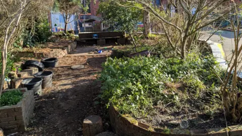 Gladstone Primary School An overgrown garden bed and pathway at the back of Gladstone school. Trees are growing up from the beds and there are empty black plant plots 