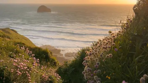 Photo provided by the South West Coast Path Association, Photographer: Emma Eccles A floral path leading down onto a beach. The path is lined with green bushes and pink flowers. Lapping waves are seen at the bottom of the path. A big rock is in the middle of the seawater. There is a low golden light. 