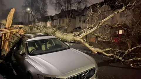 Simon Harnaman A large tree that has snapped its trunk in the strong winds and fallen over into the road, crushing the top of a parked silver car.