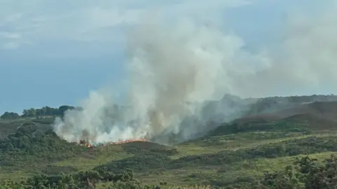 DWFRS Smoke rises up from the heathland and flames can be seen across a wide patch of ground