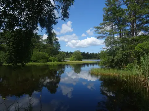 Stephen Leitch A loch on a sunny day, with large trees and lush greenery around it