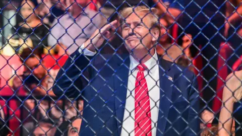 Getty Images Donald Trump on the sidelines at UFC 299