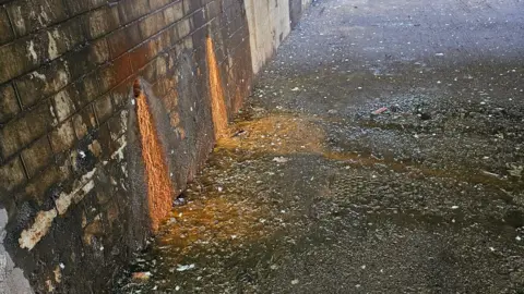 A close up photo of this orange substance coming out of weep holes within a brick wall and pouring over the pavement.  