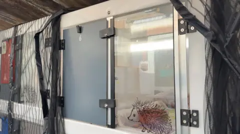 The picture shows what looks like a locker, split into two compartments. One side is a grey door, the other side is clear with a cartoon picture of a hedgehog on. It's part of a stack of similar pods.