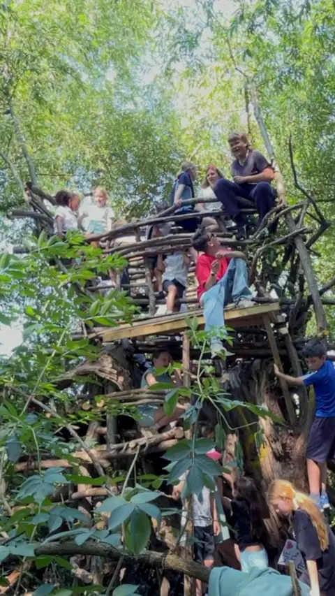 Treehouse from below amongst the trees with children playing on it. 