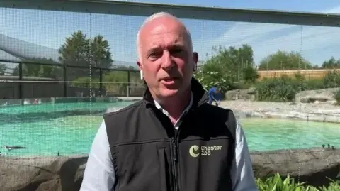 Jamie Christon, who has grey hair and is wearing a black gilet with Chester Zoo branding, speaks to the camera in front of a penguin enclosure with a large pool.