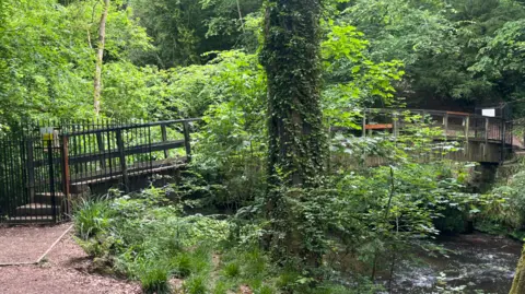 Supplied A woodland green area with a stream and a bridge. The wooden curved bridge is blocked by an iron gate.