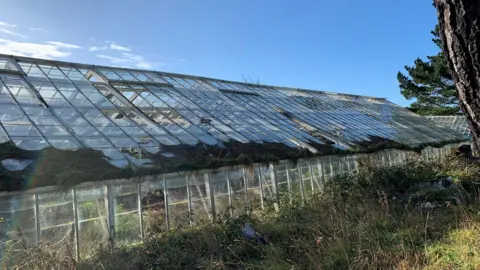 An old greenhouse covered in grass cuttings and with a number of broken panes