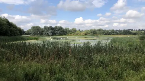 Nick Shelton Summer Leys Nature Reserve, showing water, trees, bushes, wildlife and fields in the distance.