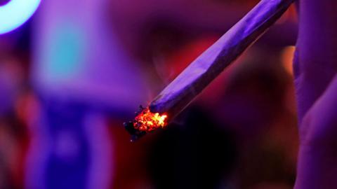 A lit cannabis cigarette being smoked with a purple background behind it 