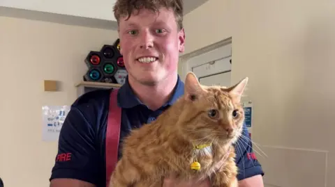 Rescued cat