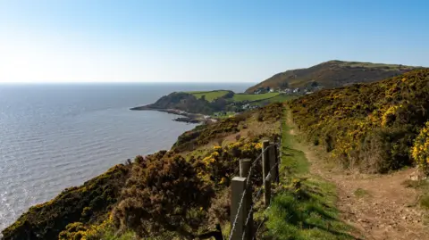 A view across the Solway coastline in the south of Scotland with a fence keeping people away from a steep drop and a few houses huddled around a bay in the distance at the end of a gorse-lined trail.