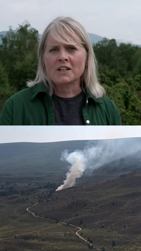 A reporter looking at the camera, and a picture of a wildfire beneath her