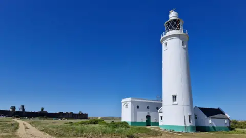 A white lighthouse stands tall with a white building at it's base. A green band is painted next to where they meet the land. Behind it the sky is blue and free from clouds