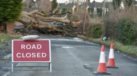 pacemaker A red and white-coloured metal sign sits to the left of a small road. It read 'ROAD CLOSED' in capital letters. There are red and white striped plastic cones on the right. The background is out of focus, but there is a large tree lying across the road blocking access and green-coloured hedges on either side.