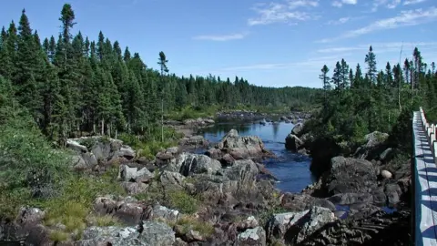 Washington family Gambo