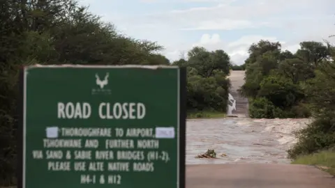 A flooded, closed road road in Kruger national park.