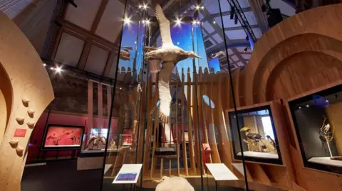 Natural History Museum An albatross at the centre of the exhibition 