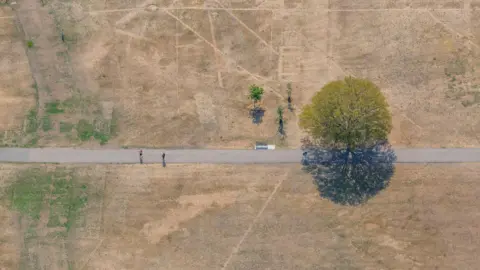 Brown scorched grass with two people on path walking away from tree