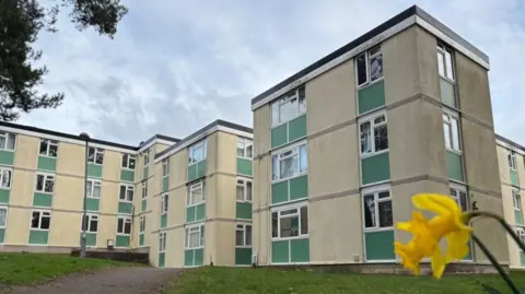 An exterior view of Hurley Courts. The square buildings are a mixture of beige and green, with white window frames and surrounded by green grass. There is a yellow daffodil in the right lower corner of the image.