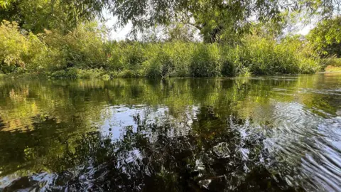 The River Pang on a sunny day. The shallow water reflects the sky and also a large amount of green plant life around the river.