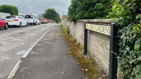 Hill View Gardens street sign. A line of cars can be seen parked up on the other side of the road. 