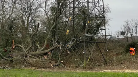 A fallen tree lying against the base of an electricity pylon close the M4 motorway in Berkshire, with a worker pictured bent to the right of the picture.