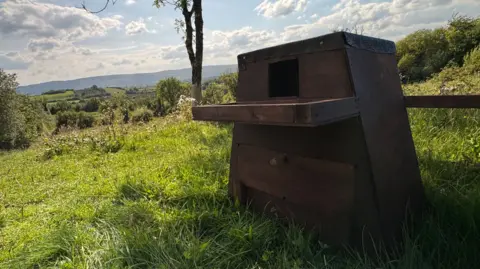 A nest box in a green field