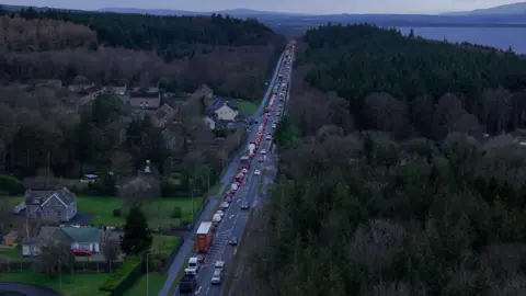 Tom Hegan A road runs through a coastal forest and winter has turned the trees a mix of brown, green and purple. The long road stretches off almost into the horizon, and a line of traffic extends from one end of it to the other. 