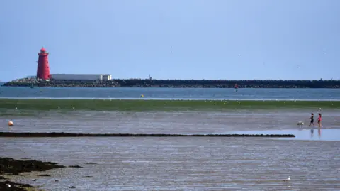 PA Media A red lighthouse stands at the end of a long breakwater, stretching across a calm blue sea, while two people walk a dog across the shallow tidal flats in the foreground.